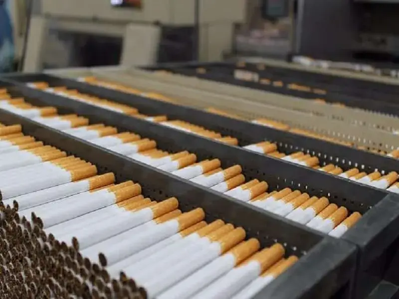 Tobacco Packing in the Industry
